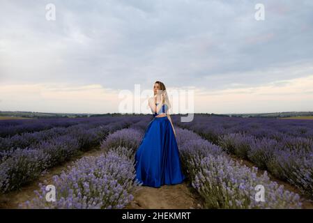 Woman in a field of lavender flowers at sunset or sunrise in a purple dress. France, Provence. Stock Photo