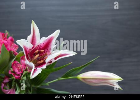 Asiatic lily on a dark wood background with copy space Stock Photo