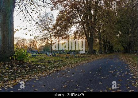 a road leading through an old cemetery at sundown in autumn Stock Photo