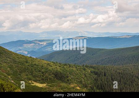 A multifaceted mountain landscape, a volumetric space with an atmospheric haze. Carpathian mountains covered with forest. Stock Photo