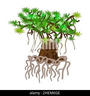 Mangrove tree rooted isolated on white background. Tropical tree with tangled underwater strong roots and green leaves. Reforestation on shrubland. Ma Stock Vector