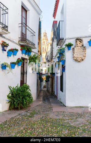 Cordoba, Spain. Calleja de las flores, a famous narrow street in Cordoba, Spain during the traditional flower festival of the patios Stock Photo