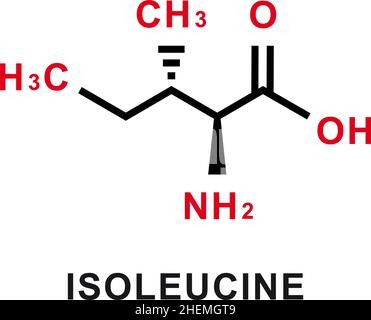 Isoleucine chemical formula. Isoleucine chemical molecular structure. Vector illustration Stock Vector