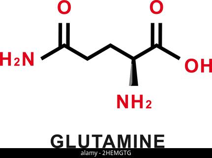 Glutamine chemical formula. Glutamine chemical molecular structure. Vector illustration Stock Vector
