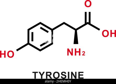 Tyrosine chemical formula. Tyrosine chemical molecular structure. Vector illustration Stock Vector