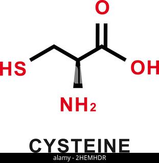 Cysteine chemical formula. Cysteine chemical molecular structure. Vector illustration Stock Vector