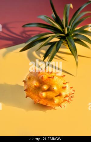 Dragon fruit, pitahaya, close-up on two color paper background. Vibrant golden yellow and dull red colors, and succulent plant. Stock Photo