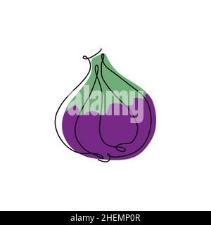 Hand drawn vector illustration of a fig in single line style. Cute llustration of fruit on a white background Stock Vector