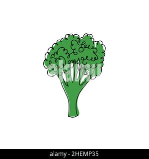 Hand drawn vector illustration of a broccoli in single line style. Cute llustration of a vegetable on a white background Stock Vector