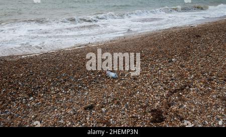 Plastic bottle washed up on the beach. Stock Photo
