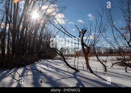 Harrison Twp., Michigan - Shadows on the snow at Lake St. Clair Metropark. Stock Photo