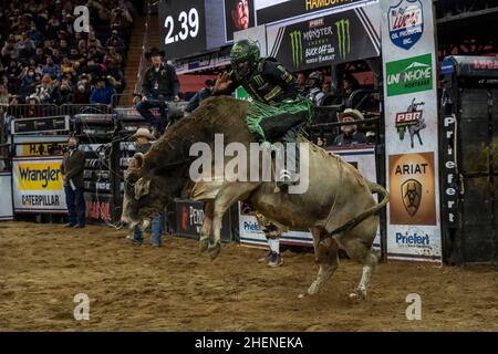 NEW YORK, NY - JANUARY 08: Chase Outlaw rides Slice of Heaven during the Professional Bull Riders 2022 Unleash The Beast event at Madison Square Garde Stock Photo