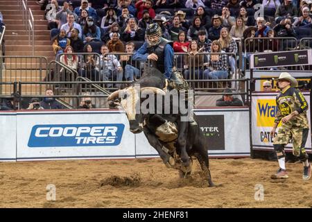 New York, United States. 08th Jan, 2022. Kyler Oliver rides Bentley for the win during the Professional Bull Riders 2022 Unleash The Beast event at Madison Square Garden in New York City. Credit: SOPA Images Limited/Alamy Live News Stock Photo