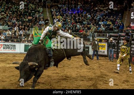 New York, United States. 08th Jan, 2022. Cooper Davis rides Uncle Gangster during the Professional Bull Riders 2022 Unleash The Beast event at Madison Square Garden in New York City. Credit: SOPA Images Limited/Alamy Live News Stock Photo