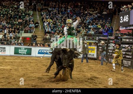 NEW YORK, NY - JANUARY 08: Cooper Davis rides Uncle Gangster during the Professional Bull Riders 2022 Unleash The Beast event at Madison Square Garden Stock Photo