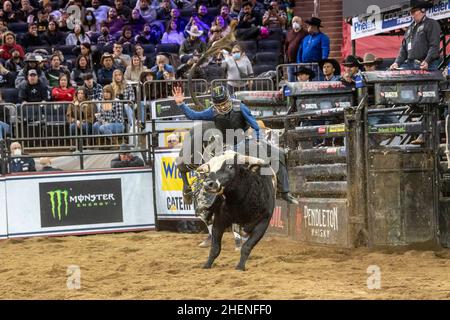 NEW YORK, NY - JANUARY 08: Kyler Oliver rides Bentley for the win during the Professional Bull Riders 2022 Unleash The Beast event at Madison Square G Stock Photo