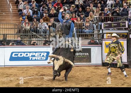 New York, United States. 08th Jan, 2022. Kyler Oliver rides Bentley for the win during the Professional Bull Riders 2022 Unleash The Beast event at Madison Square Garden in New York City. (Photo by Ron Adar/SOPA Images/Sipa USA) Credit: Sipa USA/Alamy Live News Stock Photo