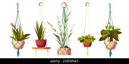 House plants in hanging pots, planters in macrame hangers. Vector cartoon set of flowers in handmade holders from rope for home interior decoration isolated on white background Stock Vector