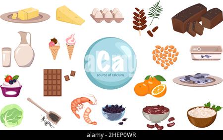 Source of calcium. A set of dairy products, nuts and dried fruits. Natural organic food high in minerals. Time for health and care. Vector flat illustration Stock Vector