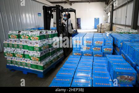 Anshan, China's Liaoning Province. 10th Jan, 2022. A worker transports Chinese sauerkraut products at a factory in Tanggangzi Village, Anshan City, northeast China's Liaoning Province, Jan. 10, 2022. Chinese sauerkraut is a popular dish in northeast China. Tanggangzi Village in northeast China's Liaoning Province built a village-run sauerkraut factory. The factory has created over 120 jobs for villagers and its products sell well both at home and abroad. Credit: Yang Qing/Xinhua/Alamy Live News Stock Photo