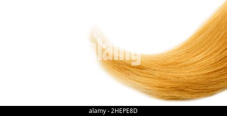 Blond yellow hair natural , isolated on white background , beauty Stock Photo