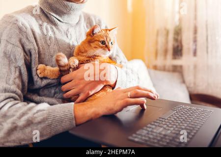 Working online from home with pet using computer. Man typing on laptop holding ginger cat in hands looking at screen. Freelance during coronavirus cov Stock Photo