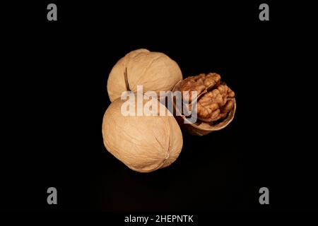 Two walnuts in shell and odi without shell lies next to each other in a black background Stock Photo