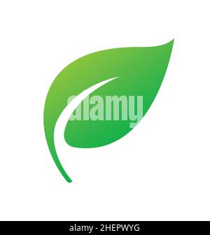 single stylized lush green leaf with stem icon Stock Vector