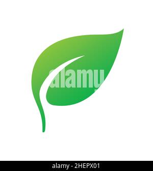 single stylized lush green leaf with stem icon Stock Vector