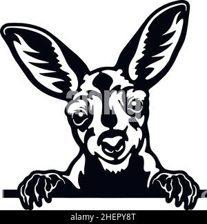 Peeking Kangaroo - Funny Wild Animal peeking out - face head isolated on white vector stock Stock Vector