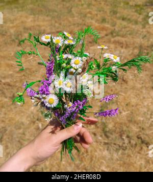 Bouquet of wildflowers in hand stock photo Stock Photo