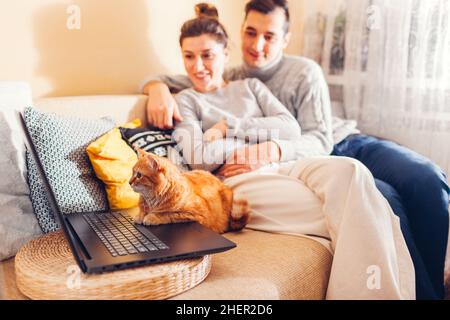Young family couple watching video online with cat using laptop at home. Ginger pet sitting on couch looking at screen. Curious animal interested in f Stock Photo