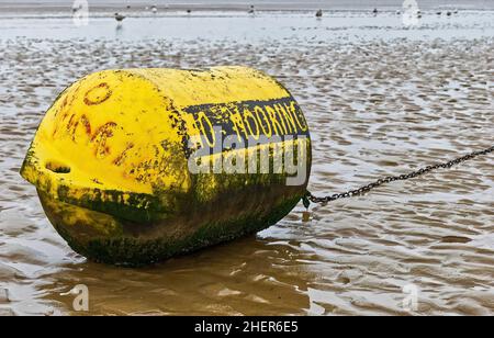 Close-up of a weathered, yellow, 'no mooring' buoy with chain attached lying on a wet, sandy beach at low tide Stock Photo
