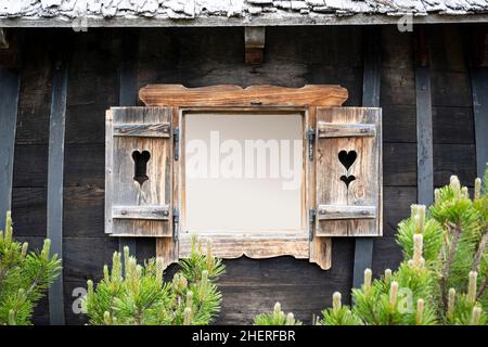 opened shutters of aged wooden window on old chalet with copy space and dwarf pine in front Stock Photo