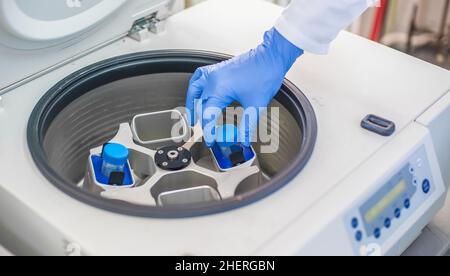 Technician loading a sample to centrifuge machine in the medical or scientific laboratory Stock Photo
