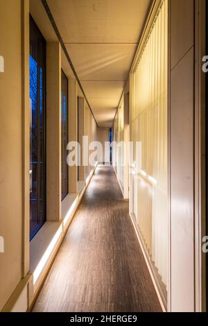 Corridor of a wood office building with industrial parquet, window front and lighting at night Stock Photo