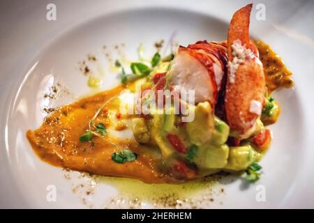 Lobster crab and avocado dish served in the Al-Andalus luxury train travelling around Andalusia Spain.  The Al Andalus train takes a tour of 7 days an Stock Photo