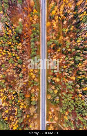Aerial view on a straight rural road through autumn forest Stock Photo