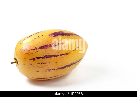 Ripe Pepino, Solanum muricatum, against white background Stock Photo