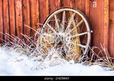 Wagon Wheel in Colorado during a snow storm Stock Photo