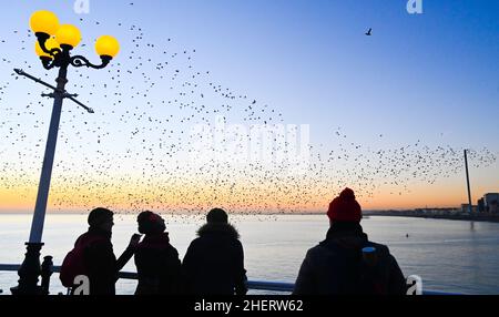 Brighton UK 12th January 2022 - Spectators gather on Brighton Palace Pier to watch the daily starling murmuration at sunset after a beautiful sunny day along the South Coast . Every evening at dusk during Autumn and winter thousands of starlings perform their murmuration before they go to roost under the pier : Credit Simon Dack / Alamy Live News Stock Photo