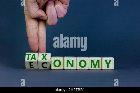 Taxonomy or economy symbol. Businessman turns cubes, changes the word economy to taxonomy. Beautiful grey table, grey background, copy space. Business Stock Photo