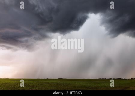 Heavy rain falling from dark clouds beneath a strong storm near Tappen, North Dakota, USA Stock Photo