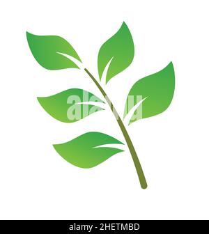 beautiful fresh green leaves branch foliage element vector isolated on white background Stock Vector
