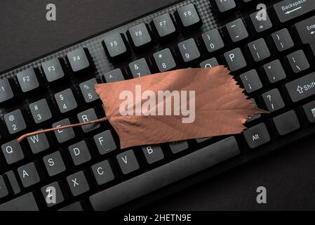 Composing New Screen Title Ideas, Typing Play Script Concepts Stock Photo