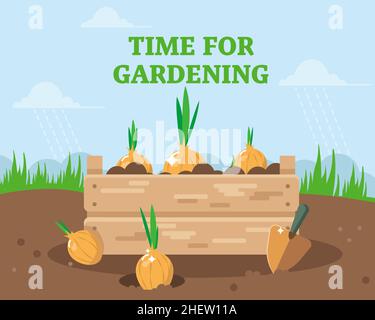 Time for gardening. A box with planted onions. Vector illustration. Stock Vector