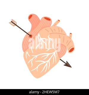 Human heart with Cupid's arrow. Vector flat illustration Stock Vector