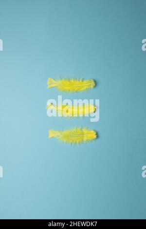 three yellow feathers vertically aligned on a blue background Stock Photo