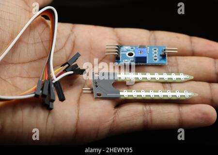 Soil moisture sensor or level indicator with analog to digital converter board and some wires, hygrometer detection module held in the hand Stock Photo