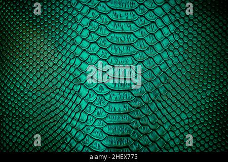Close up of green Luxury snake skin texture use for background Stock ...